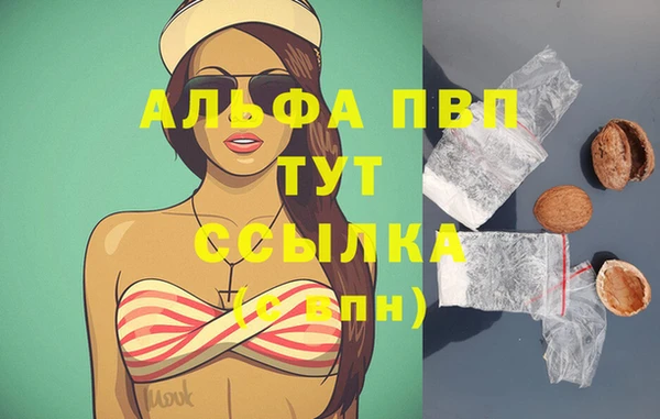 mdpv Вяземский