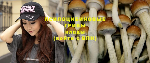 стафф Волоколамск