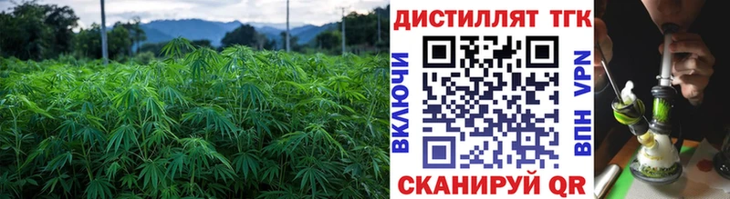 KRAKEN сайт  Ипатово  Дистиллят ТГК THC oil 